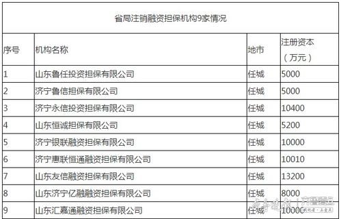 濟寧9家融資擔保機構(gòu)退出市場，行業(yè)規(guī)范再升級
